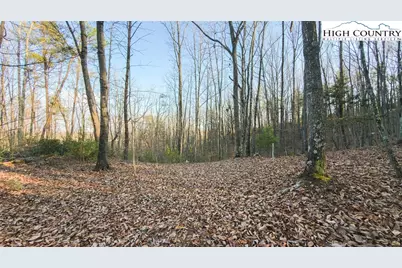 Tbd Lot 2 All Healing Springs Road, Taylorsville, NC 28681 - Photo 25
