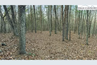Tbd Lot 2 All Healing Springs Road, Taylorsville, NC 28681 - Photo 27