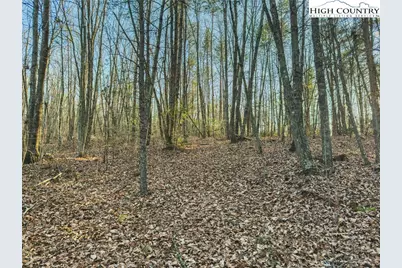 Tbd Lot 2 All Healing Springs Road, Taylorsville, NC 28681 - Photo 11