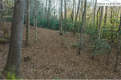 Tbd Lot 2 All Healing Springs Road, Taylorsville, NC 28681 - Photo 7