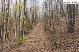 Tbd Lot 2 All Healing Springs Rd, Taylorsville, NC 28681 - Photo 1