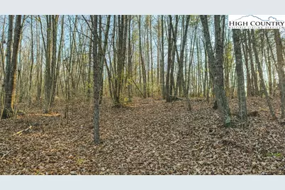 Tbd Lot 2 All Healing Springs Road, Taylorsville, NC 28681 - Photo 19