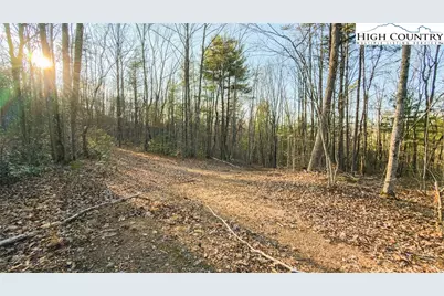 Tbd Lot 2 All Healing Springs Road, Taylorsville, NC 28681 - Photo 23
