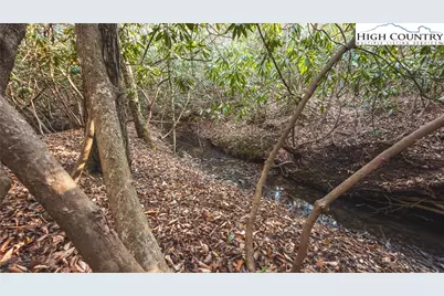 Tbd Lot 2 All Healing Springs Road, Taylorsville, NC 28681 - Photo 17