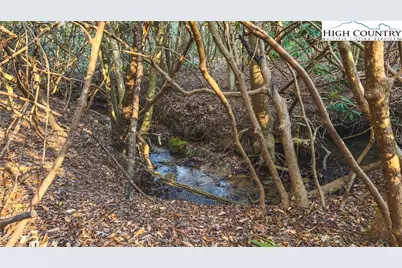 Tbd Lot 2 All Healing Springs Road, Taylorsville, NC 28681 - Photo 15