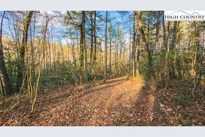 Tbd Lot 2 All Healing Springs Road, Taylorsville, NC 28681 - Photo 13