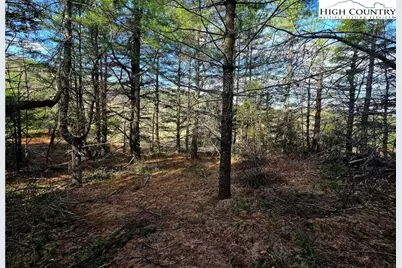 Tbd Foggy Ridge Drive, West Jefferson, NC 28694 - Photo 19
