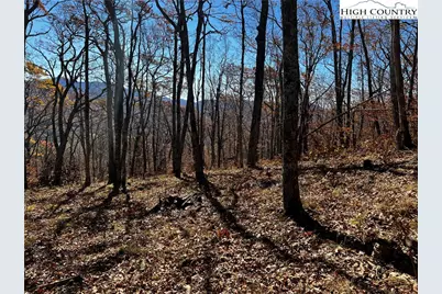 Lot 2 Chappell Farm Road, Banner Elk, NC 28604 - Photo 13