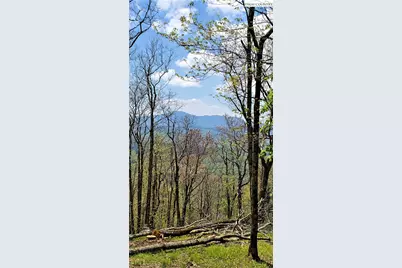 Lot 2 Chappell Farm Road, Banner Elk, NC 28604 - Photo 17