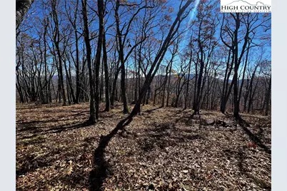 Lot 2 Chappell Farm Road, Banner Elk, NC 28604 - Photo 9