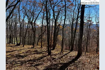 Lot 2 Chappell Farm Road, Banner Elk, NC 28604 - Photo 21