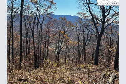 Lot 2 Chappell Farm Road, Banner Elk, NC 28604 - Photo 13
