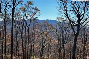 Lot 2 Chappell Farm Rd, Banner Elk, NC 28604 - Photo 1