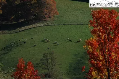 Lot#46 Ridgewood Road, Sparta, NC 28675 - Photo 7