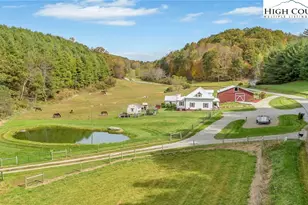 886 Blevins Hollow Rd, Piney Creek, NC 28663 - Photo 3