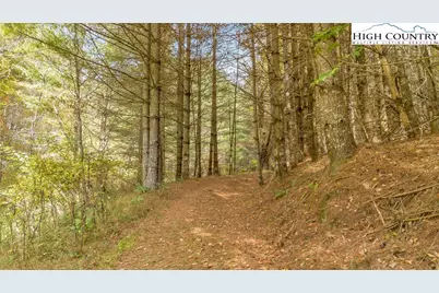 886 Blevins Hollow Road, Piney Creek, NC 28663 - Photo 47