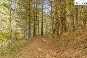 886 Blevins Hollow Rd, Piney Creek, NC 28663 - Photo 47