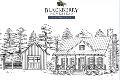9379 Blackberry Road, Lenoir, NC 28645 - Photo 1