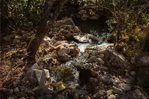 8406 Harrison Dr, Lenoir, NC 28645 - Photo 9