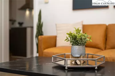 102 Sugar Ski Drive #215, Sugar Mountain, NC 28604 - Photo 9