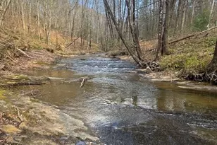 637 Monticello Dr, West Jefferson, NC 28694 - Photo 45