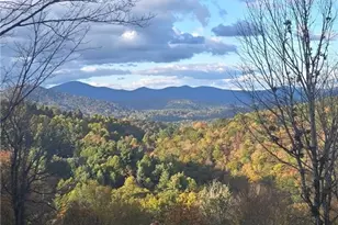 867 Ski Acres Dr, Blowing Rock, NC 28605 - Photo 45