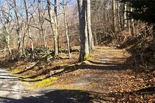 867 Ski Acres Dr, Blowing Rock, NC 28605 - Photo 43