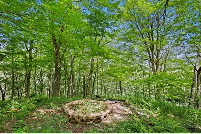 867 Ski Acres Drive, Blowing Rock, NC 28605 - Photo 41