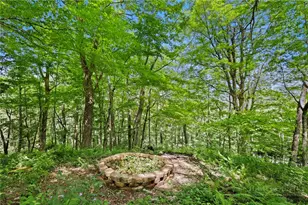 867 Ski Acres Dr, Blowing Rock, NC 28605 - Photo 41