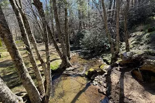 2291 Pine Swamp Road Rd, Fleetwood, NC 28626 - Photo 7