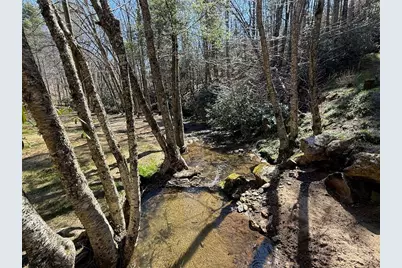 2291 Pine Swamp Road Road, Fleetwood, NC 28626 - Photo 5