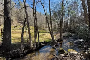 2291 Pine Swamp Road Rd, Fleetwood, NC 28626 - Photo 15