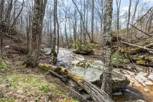 106 W Pond Creek Rd, Beech Mountain, NC 28604 - Photo 25