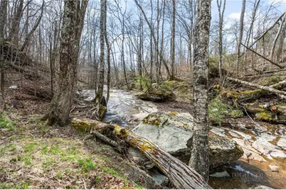 106 W Pond Creek Road #A, Beech Mountain, NC 28604 - Photo 25