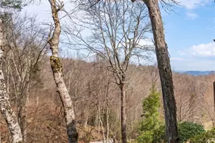 106 W Pond Creek Rd, Beech Mountain, NC 28604 - Photo 3