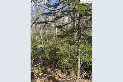 116 E Blueberry Lane, Beech Mountain, NC 28604 - Photo 9