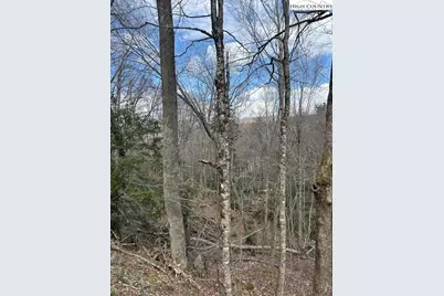 116 E Blueberry Lane, Beech Mountain, NC 28604 - Photo 1