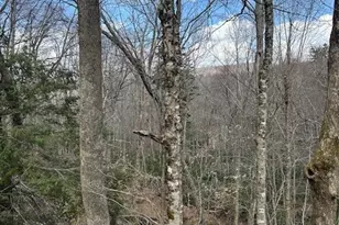 116 E Blueberry Ln, Beech Mountain, NC 28604 - Photo 1