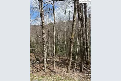 116 E Blueberry Lane, Beech Mountain, NC 28604 - Photo 5