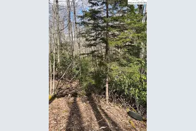 116 E Blueberry Lane, Beech Mountain, NC 28604 - Photo 11