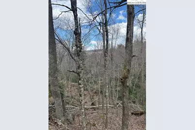 116 E Blueberry Lane, Beech Mountain, NC 28604 - Photo 7