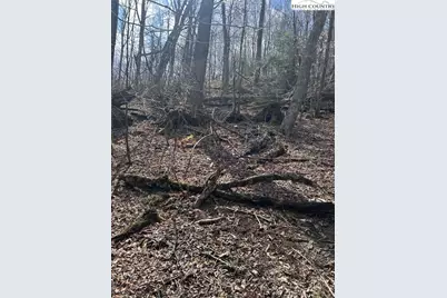 116 E Blueberry Lane, Beech Mountain, NC 28604 - Photo 13