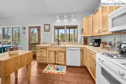 342 Ripshin Lake Road, Roan Mountain, TN 38687 - Photo 17