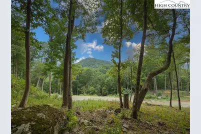 C120 Springwater Lane, Banner Elk, NC 28604 - Photo 5