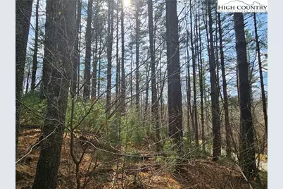 Tbd Panorama Drive, Todd, NC 28684 - Photo 21