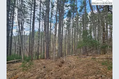 Tbd Panorama Drive, Todd, NC 28684 - Photo 7