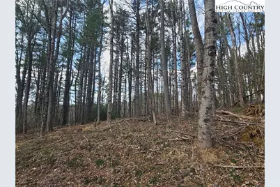 Tbd Panorama Drive, Todd, NC 28684 - Photo 17