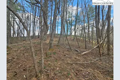 Tbd Panorama Drive, Todd, NC 28684 - Photo 11