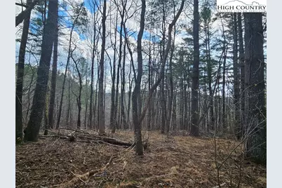 Tbd Panorama Drive, Todd, NC 28684 - Photo 3