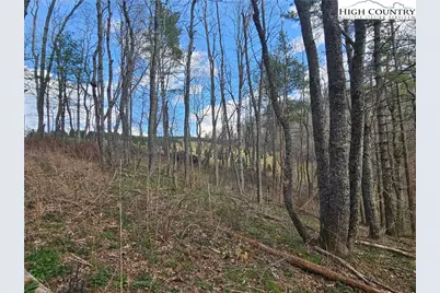 Tbd Panorama Drive, Todd, NC 28684 - Photo 15